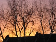 a lake of fiery gold