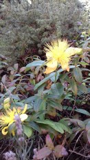 20171021_120053_resized