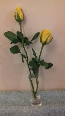 20171021_173728_resized