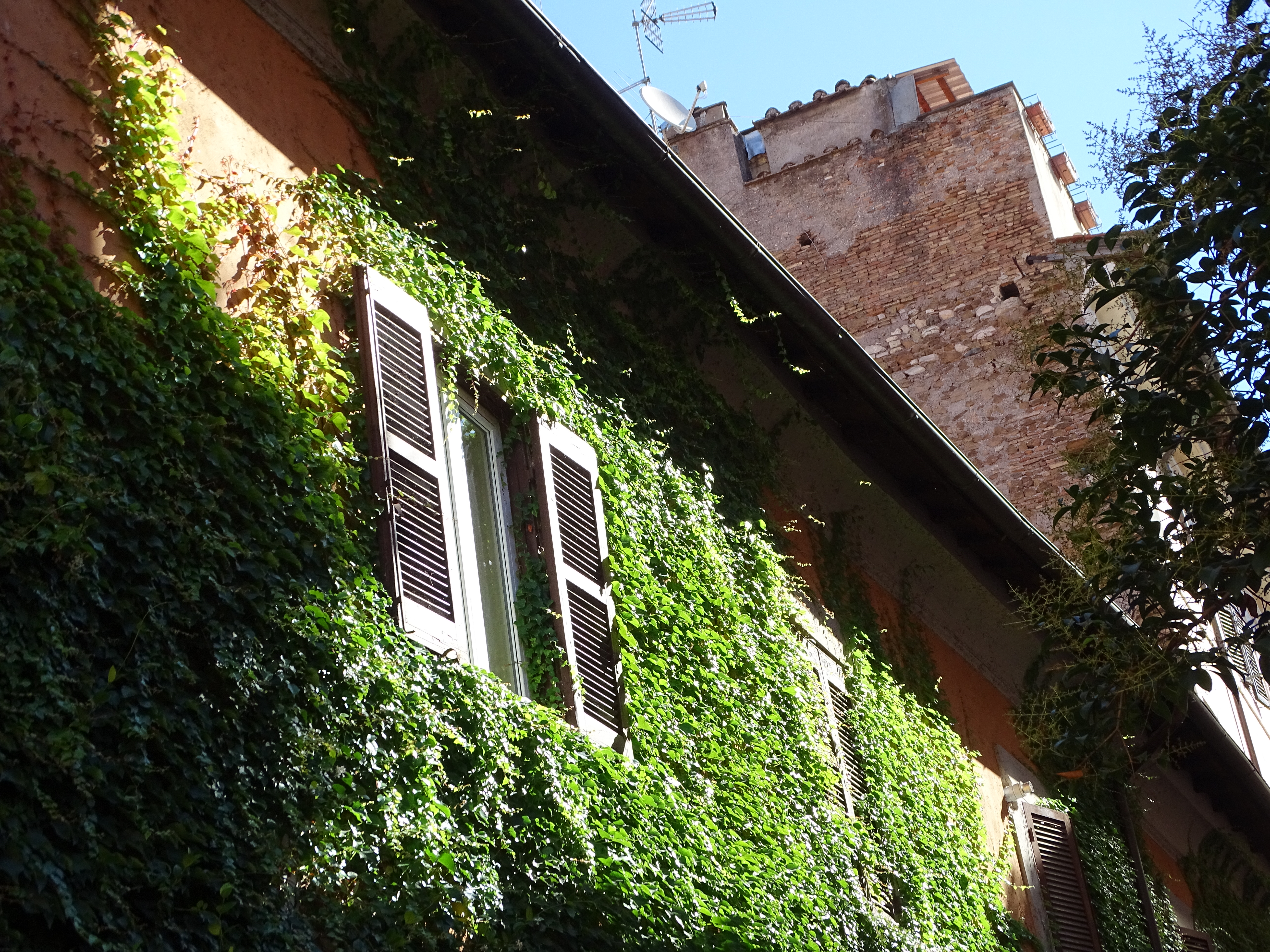 DSC00178