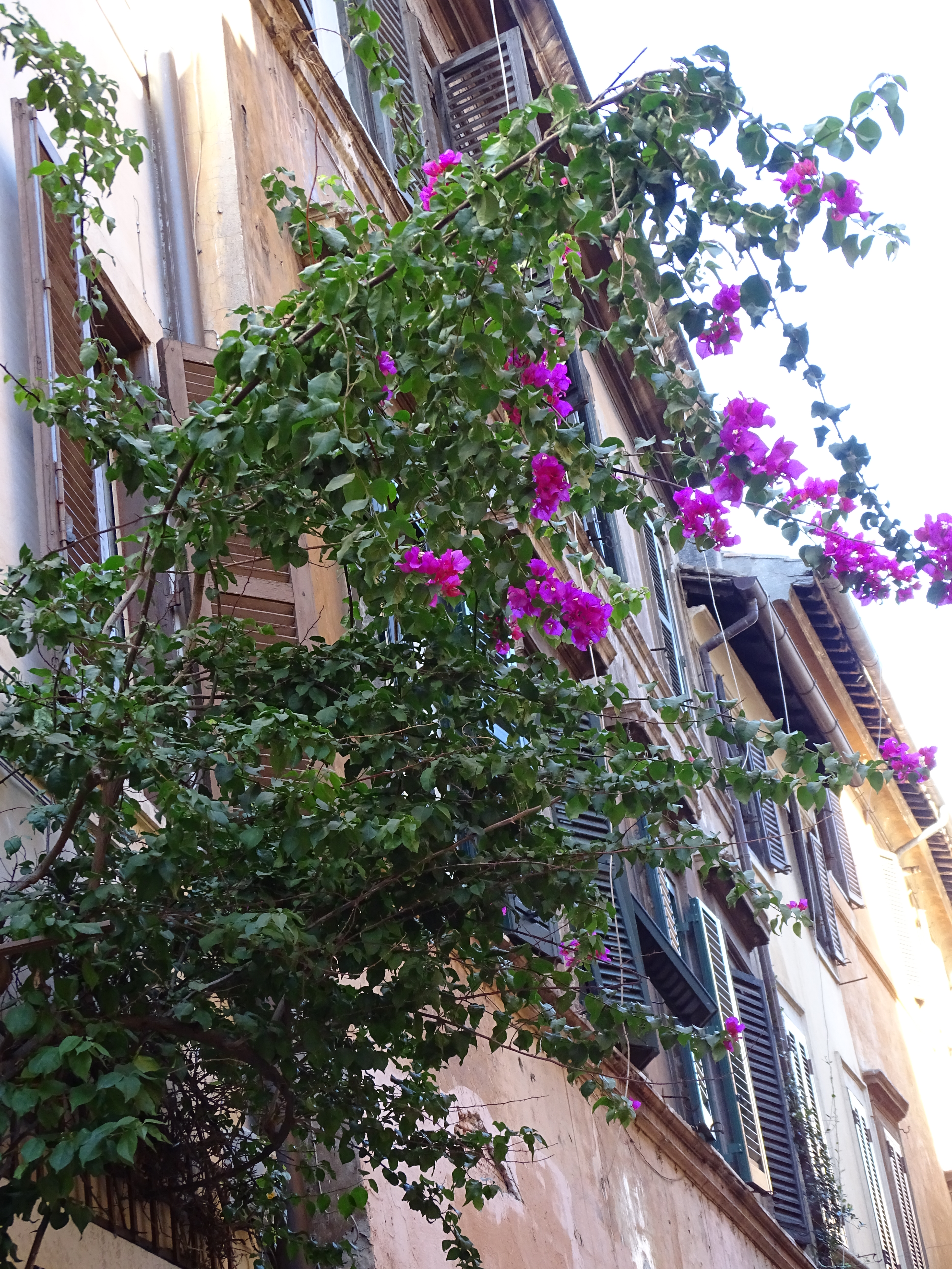 DSC00181